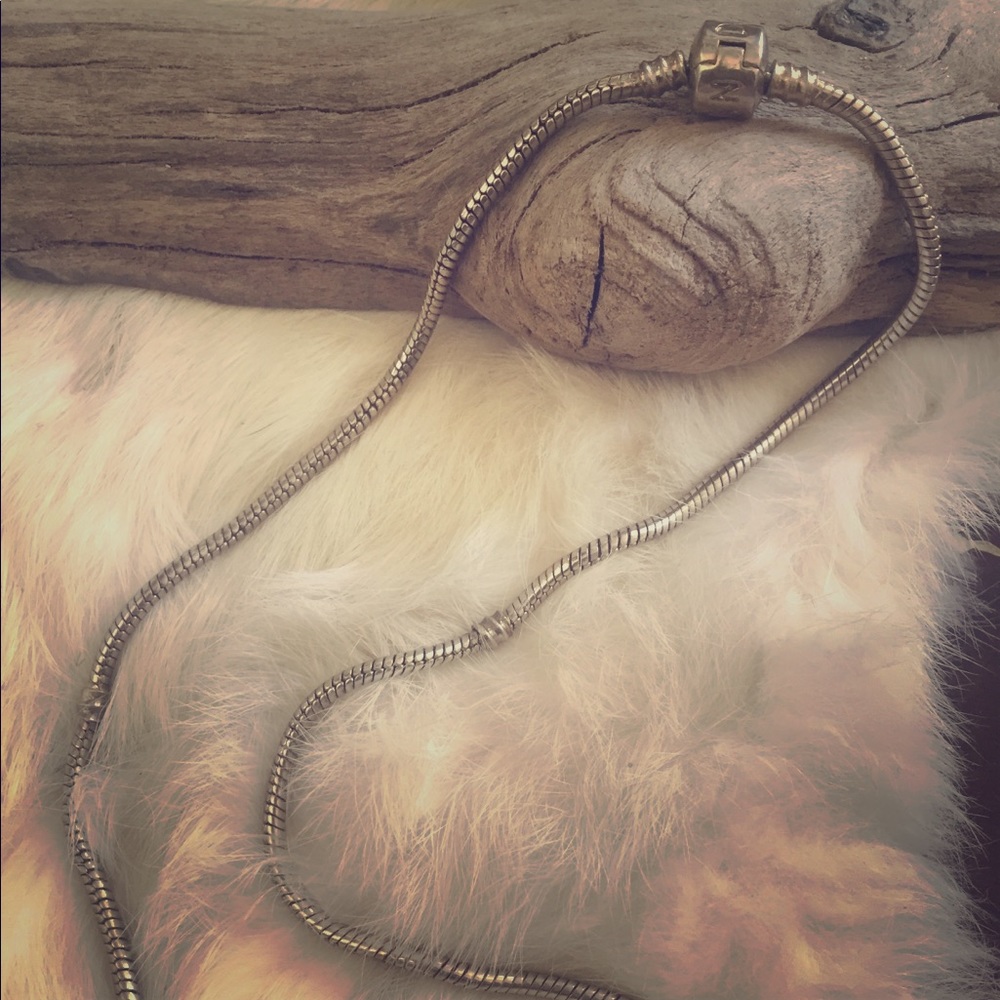 Pandora necklace